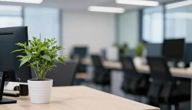 绿化养护行业规范与开荒保洁适用条件分析